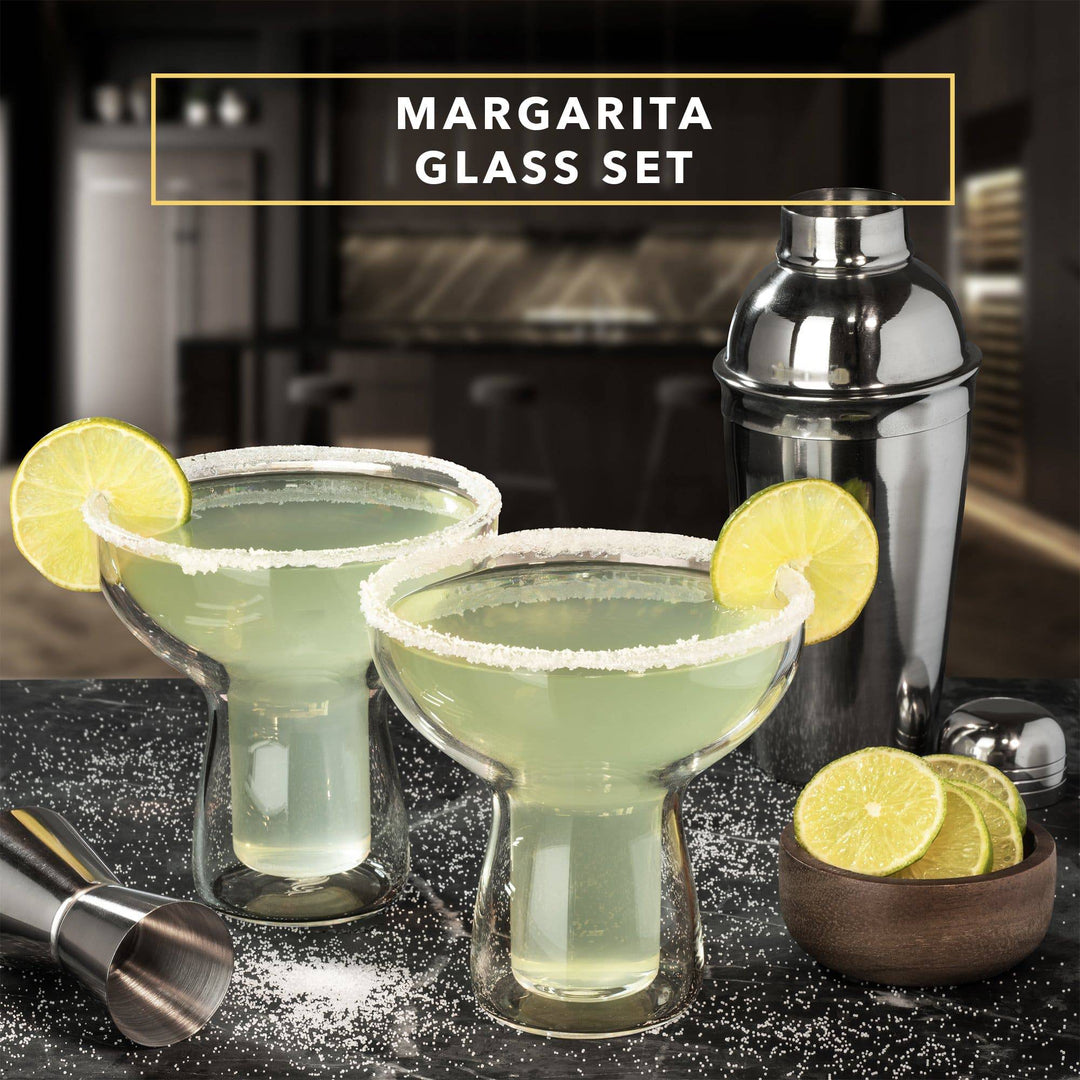 Martini Glass, Insulated Stainless Steel Margarita Glass with Lid, Set of 2